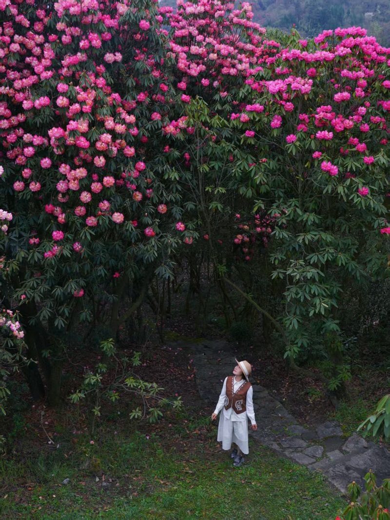 1774837734896456.jpg b0b70df990634361bca2a494556bf712 - 副本.jpg