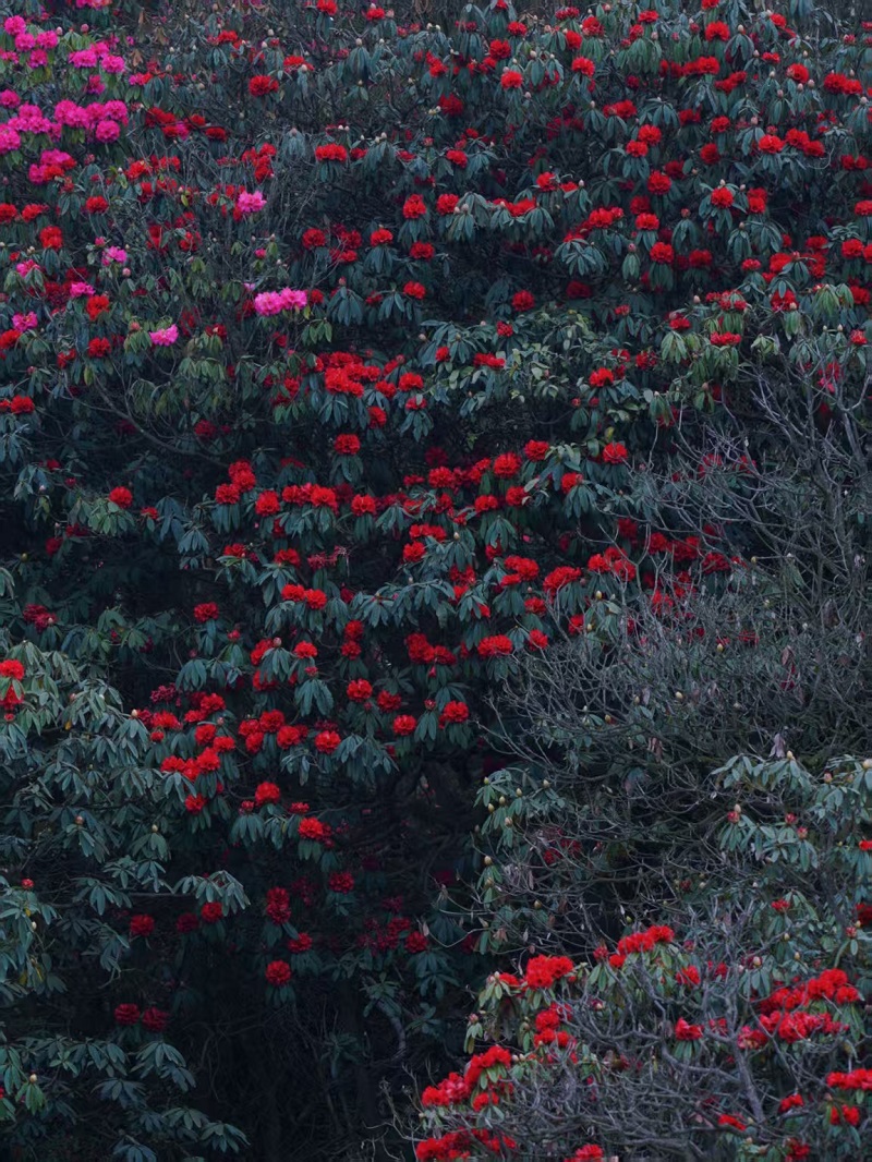 1774837770253976.jpg e5b641b5ae5d7f6fbd78a3b2eb703f70.jpg