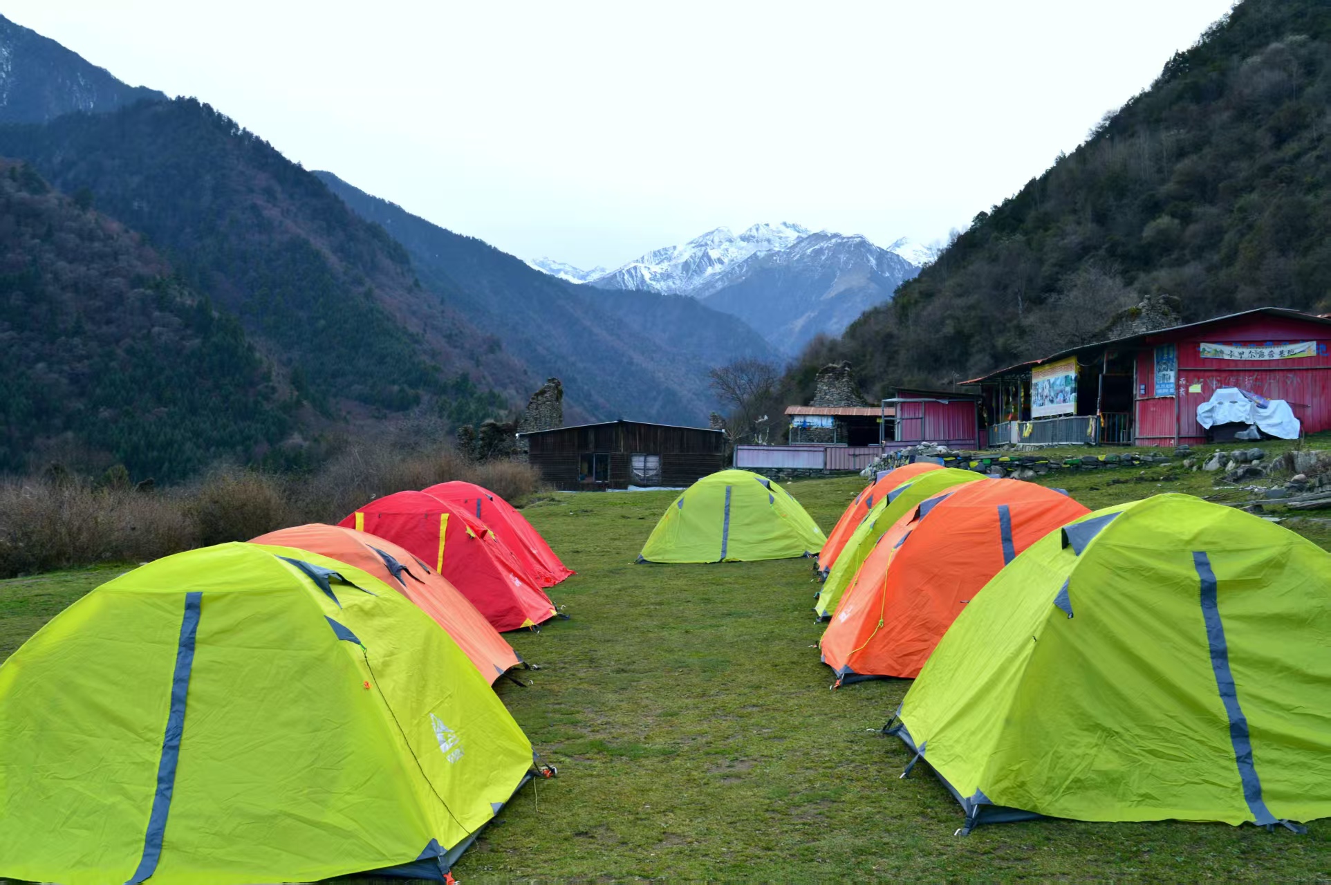 1775199502219681.jpg 5b7a3aa9cb1812e17e769960ed53e951.jpg