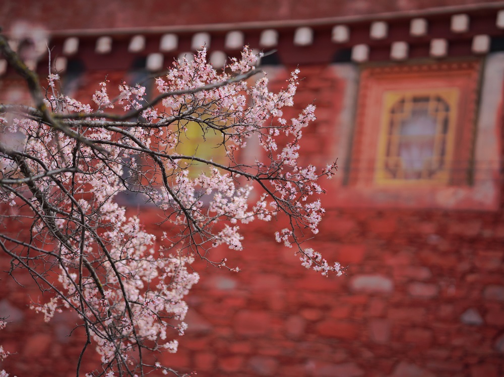 1775200536112739.jpg 85b5380aeb5b5a02d9d1d263de71e4c1.jpg