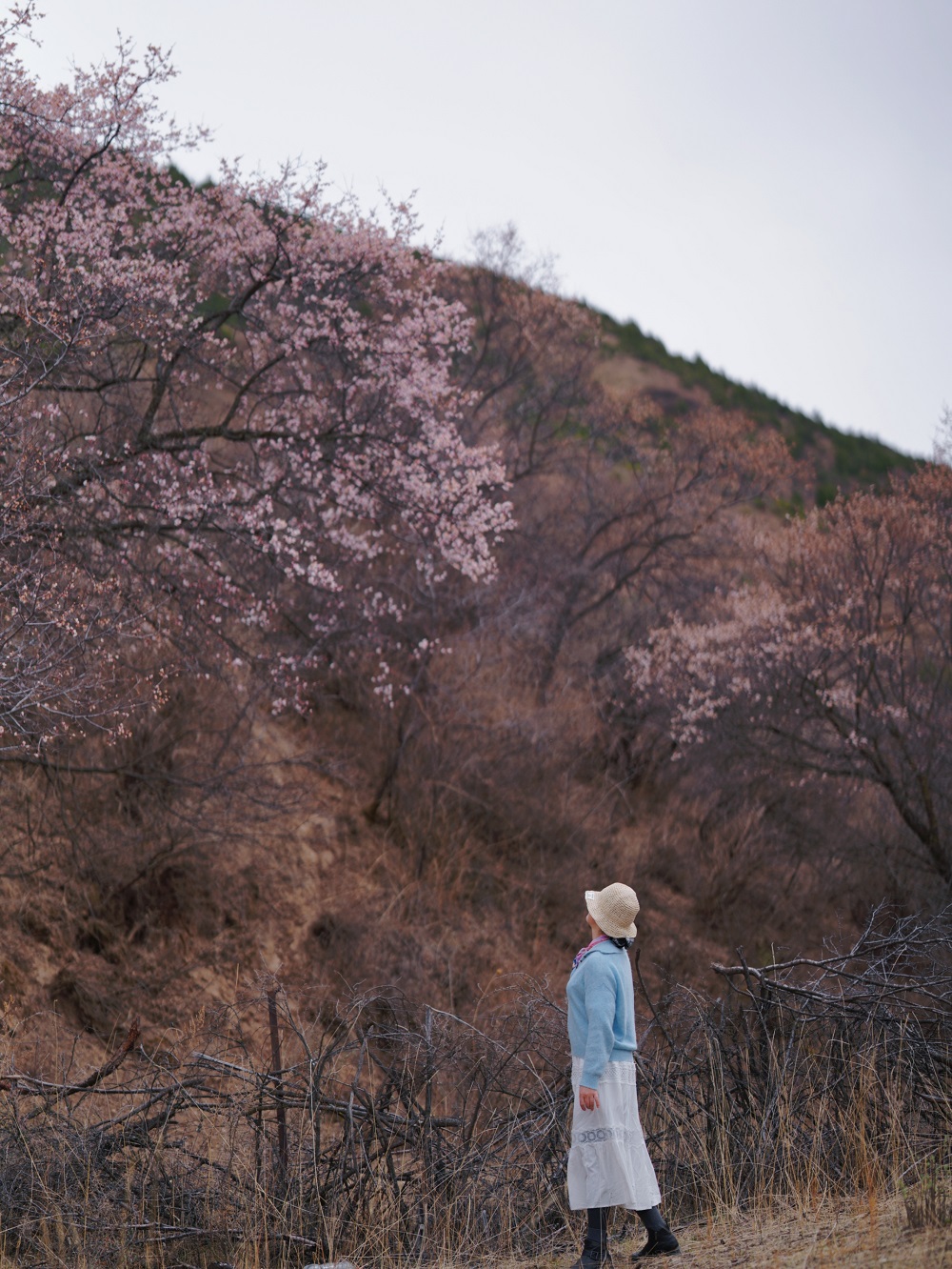 1775200557419818.jpg 24dc56189fbedd7271b1df906cc01f07.jpg