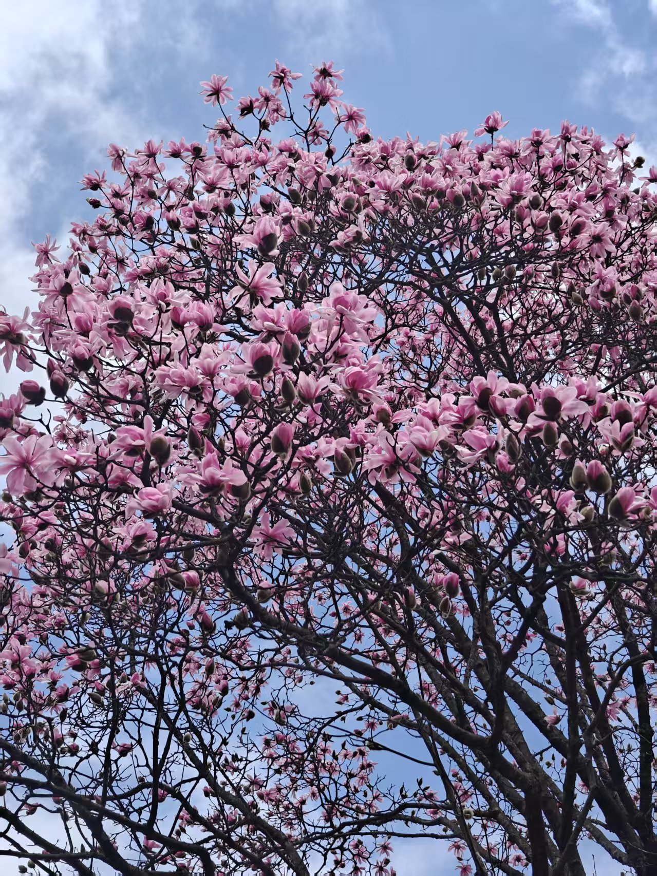 1775549577341921.jpg 微信图片_20260407161218.jpg