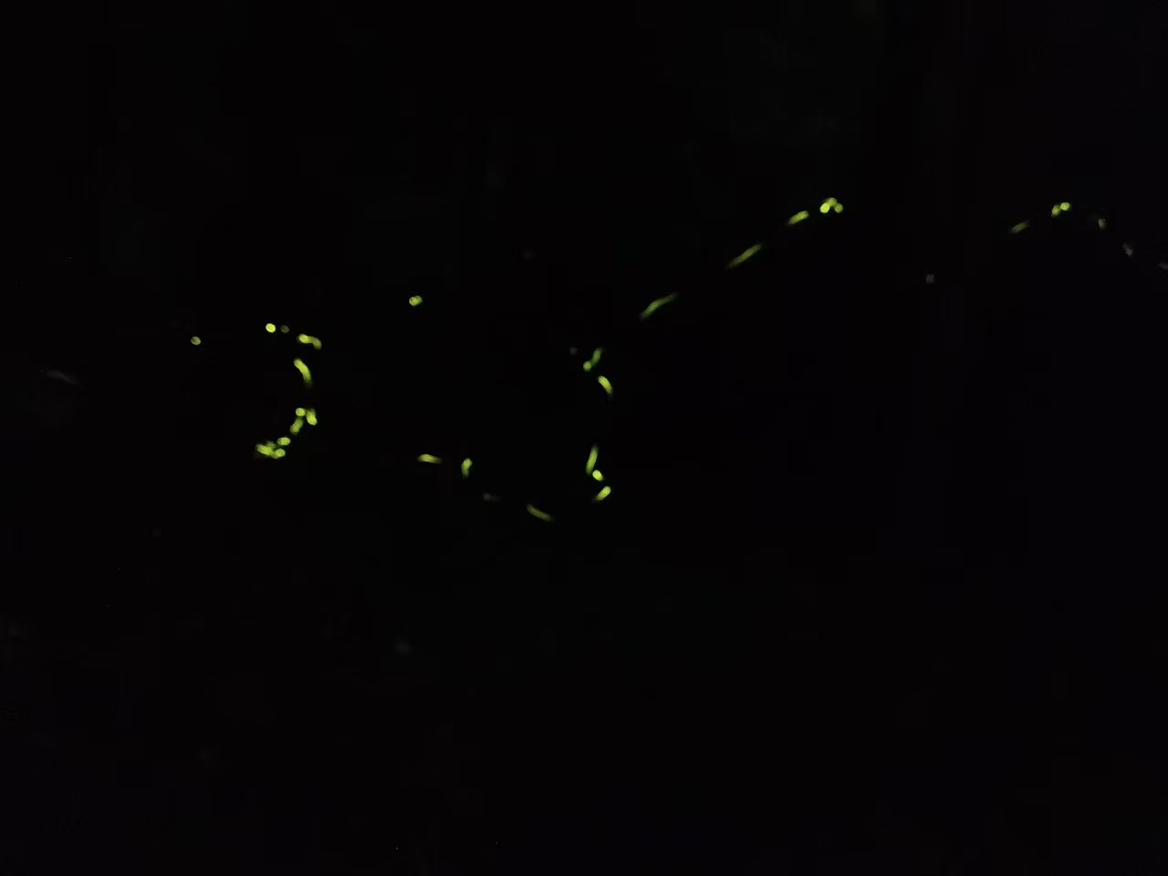 1778039933467832.jpg 微信图片_20260506115820.jpg