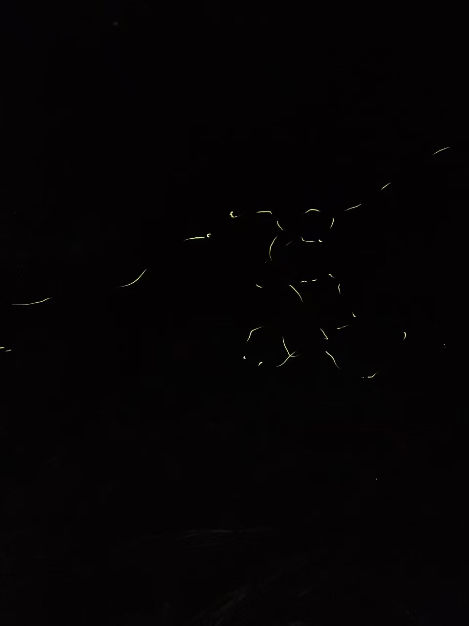1778039936603821.jpg 微信图片_20260506115823.jpg