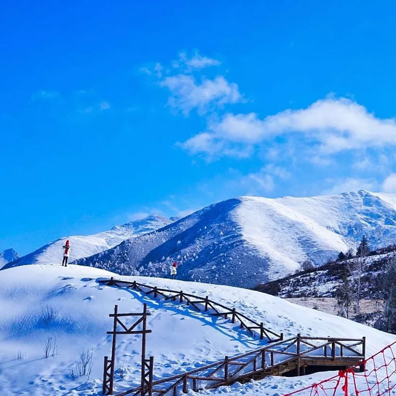【鹧鸪山滑雪+毕棚沟】四川人的雪乡,一个梦幻的冰雪王国