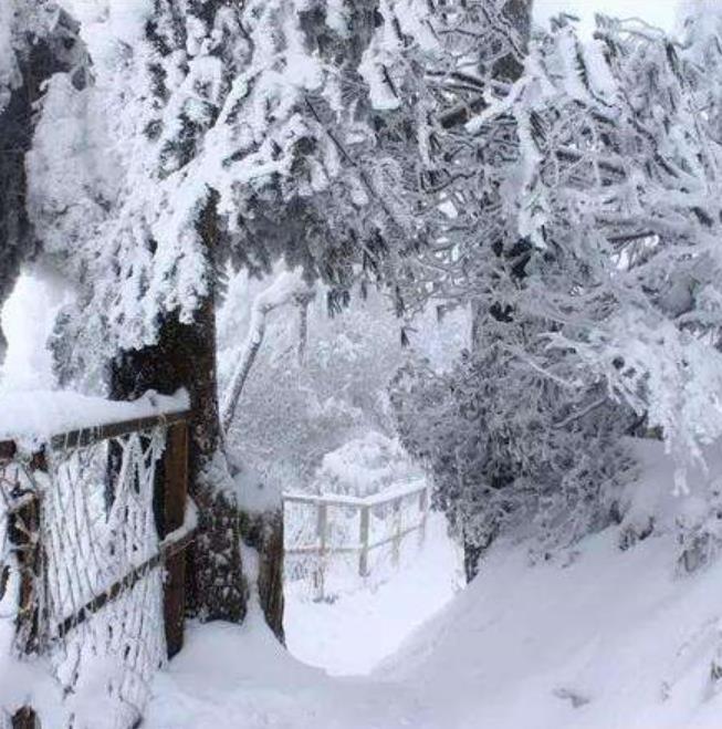 【九峰山】 成都周边耍雪圣地,离成都最近的雪山
