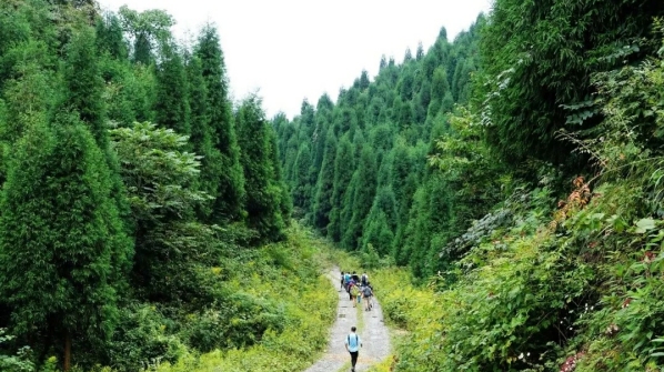 【南宝山穿将军庙】行走荒野丛林、探秘精绝原始溶洞、挖折耳根
