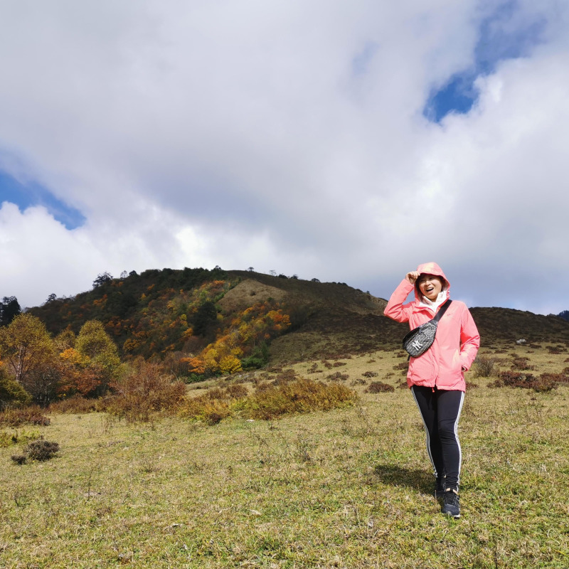 【云中牧场】漫步秋日高山牧场,邂逅满山牛羊