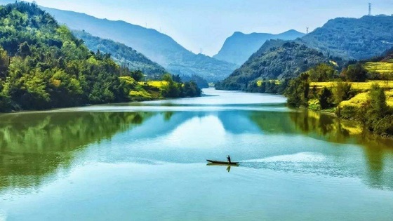 【挖野菜|平羌小三峡】被忽视的原生美,提上麻袋挖折耳根/野葱