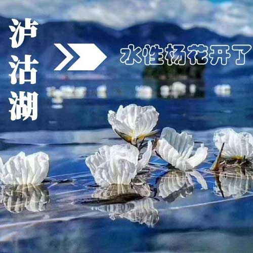 【泸沽湖】一米阳光的温暖,醉倒在诗情画意中,不知归途