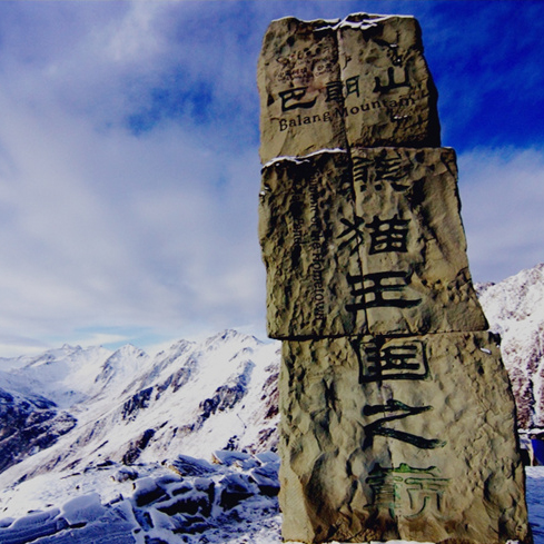 【巴朗山 | 熊猫之巅】云海上漂浮的雪山,打卡熊猫王国之巅