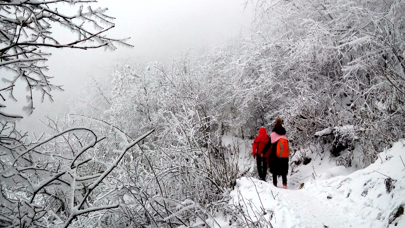 【冰雪|九峰山】 成都周边耍雪圣地，偶遇冬天的第一场初雪