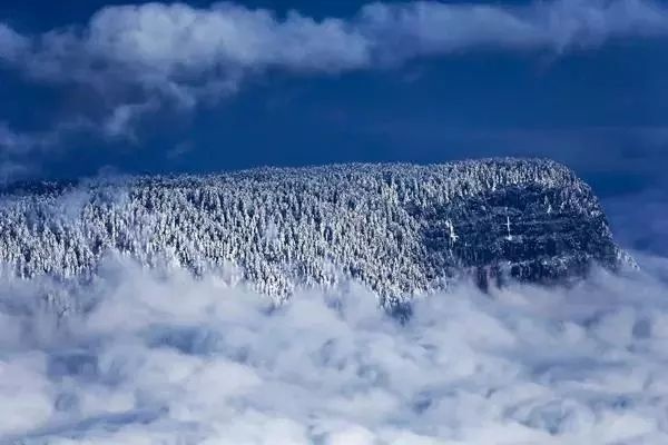 【瓦屋山2日游】踏雪赏景、观云海、觅佛光、走进南国的林海雪原