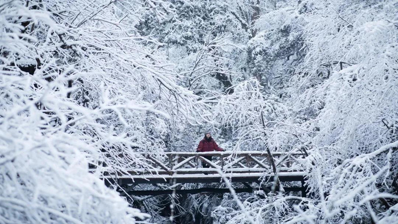 【冰雪|龙苍沟】宫崎骏的童话森林，冰雪童话的事实与奥秘