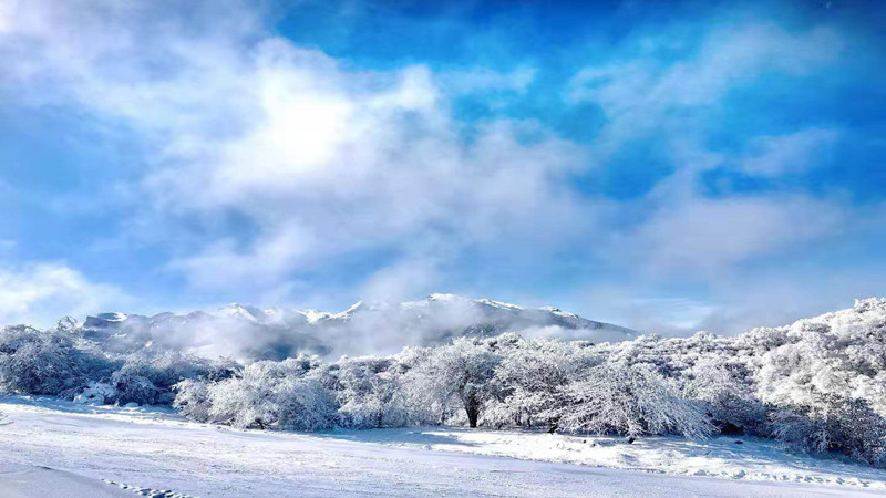 【耍雪|登顶坪】超美小众耍雪圣地，南国冰雪世界