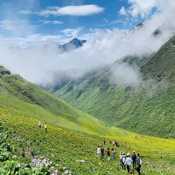 【贝母坪】 轻徒步卧龙“九顶山“ 高山草甸、花海之行