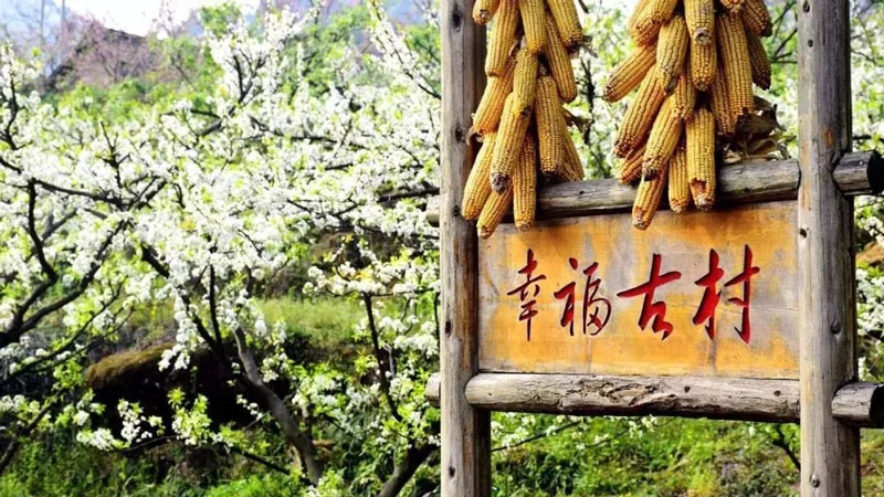 【赏花|幸福古村】倾心十里桃花红,邂逅这座被“封冻”的幸福古村,打卡五彩油菜花田