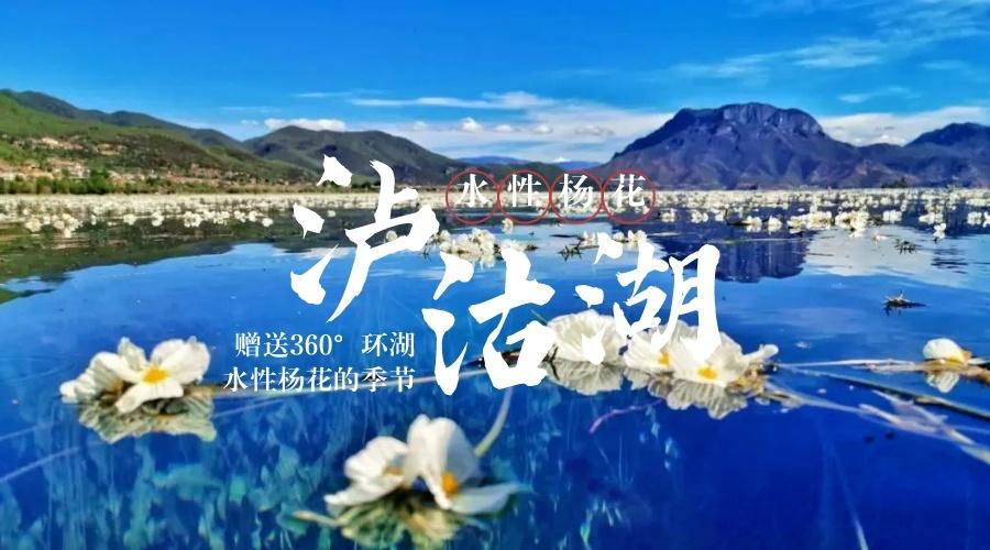 泸沽湖水性杨花
