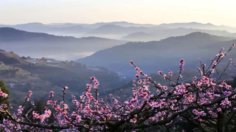 【上春山|龙泉山桃花】春日限定,龙泉拉练看桃花,穿越石经寺