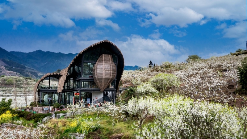 【梨花|熙玉村】千亩梨花争相绽放,错过在等一年!