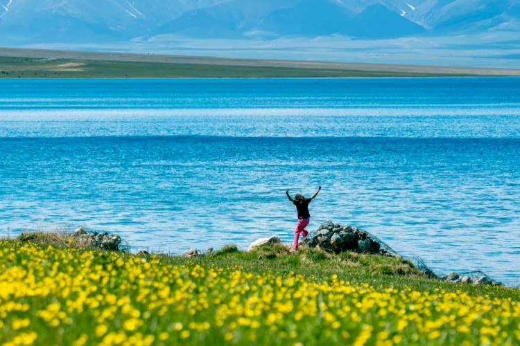 【旅拍|新疆环线】极力推荐！大美新疆南北大环线14天深度游，国内最火旅行地！