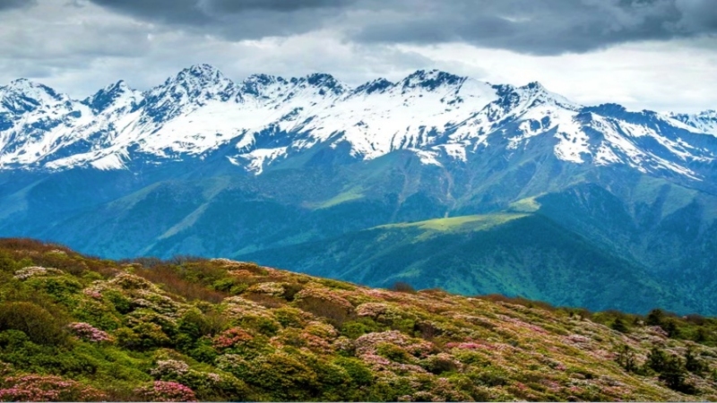 【雪山|布勒牧场】遥望雪山!走进簇朗雪山脚下的布勒牧场,冲击布勒之巅!