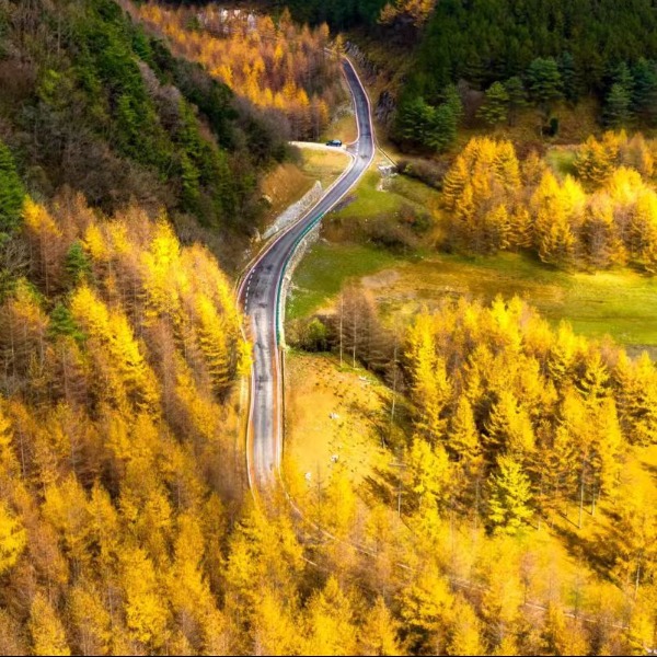 【秋色|曾家山】超出片!无门票赏彩林,小众天坑、溶洞,开启秘境探索之旅