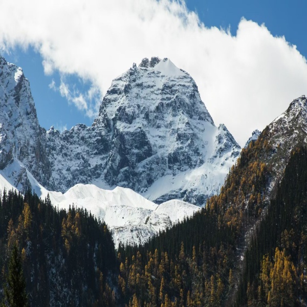 【秋色|猛古雪山】速登理县猛古高山牧场,雪山环绕,远观理县版“冈仁波齐”-霸王山
