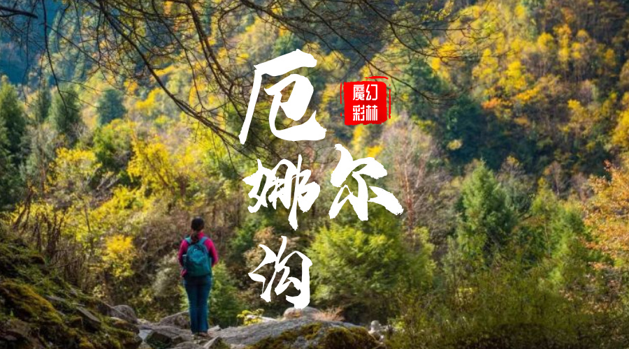 甲尔猛措|厄尔娜沟