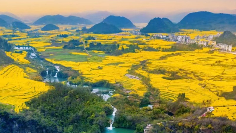 【春节|云贵川大环线】邂逅最早春,醉倒在云贵的芳华原野之旅