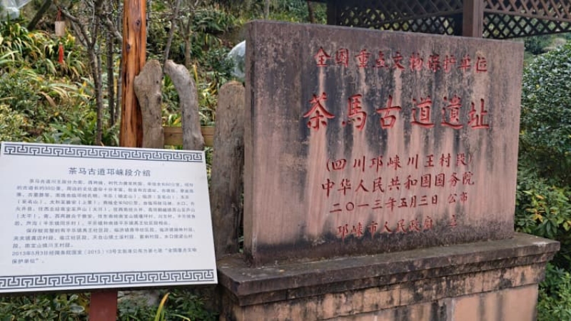 【邛崃茶马古道穿越】穿行万顷竹海,听竹涛声交织回响,漫步千年茶马古道,让茶香与清风一同入梦