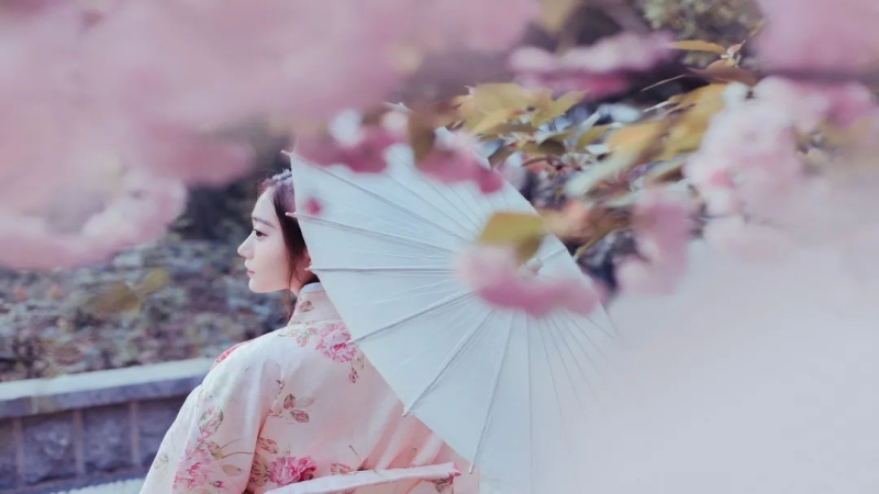 【免门票|龙居村樱花谷】春暖花开,好运来,“樱你而来”花开满园龙居村樱花谷,数百万樱花悄然绽放