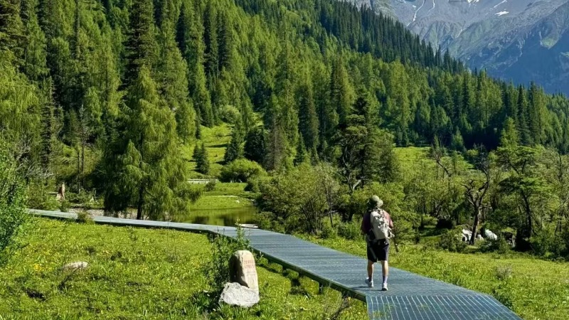 【四姑娘山】川西出游首选打卡地,雪山海子森林草甸,高颜值美到犯规