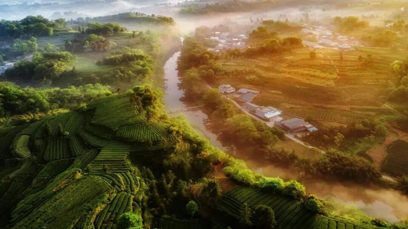 【千里江山图|骑龙村】中国至美茶园绿道,古诗里的画面就这样走入现实