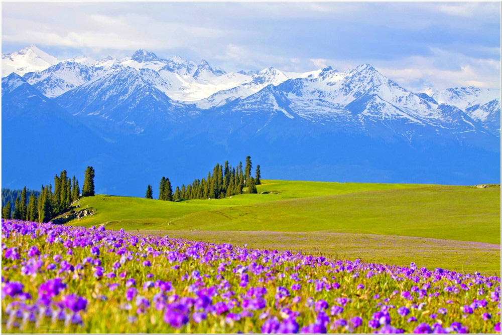 【新疆伊犁花海环线】天山开道,伊犁为卷,览尽草原花海、峡谷荒漠,邂逅北疆梦幻童话世界